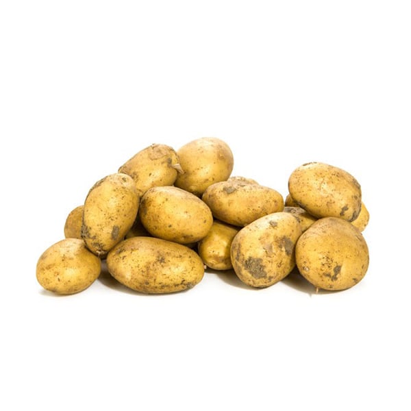 Frieslanders-1 Frieslanders-1