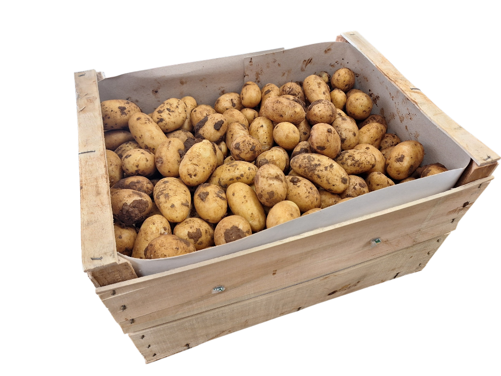 Galantina kriel aardappelen 