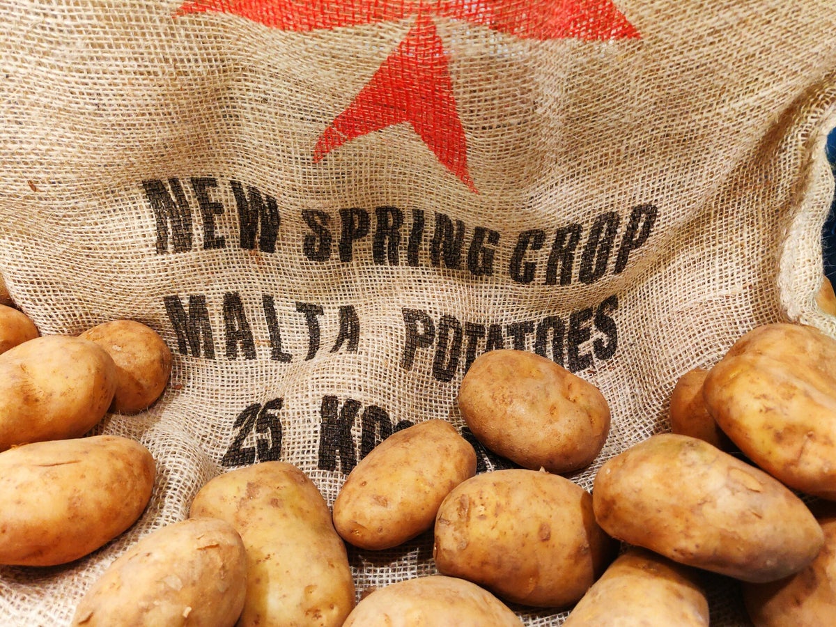 Nieuwe oogst Malta aardappel Nieuwe oogst Malta aardappel
