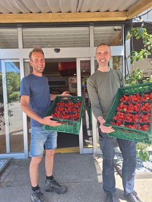 20250612_Booij aardbeien -2