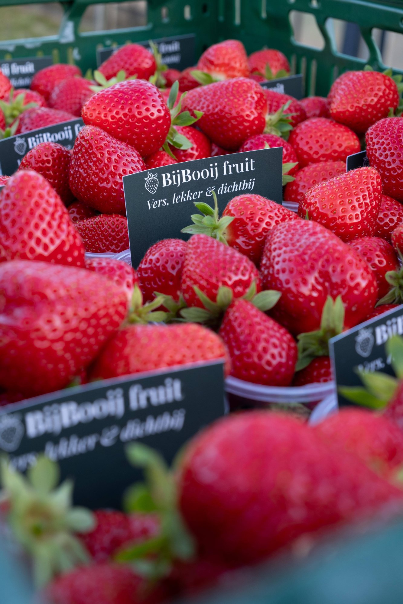 Aardbeien bij booij Aardbeien bij booij