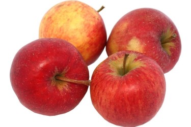 Appel-pinovA Appel-pinovA
