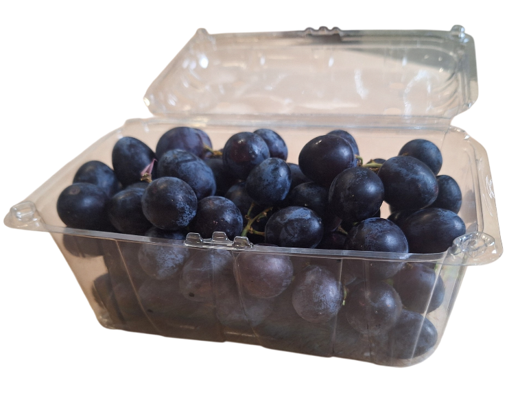 Blauwe druif pitloos doos open 