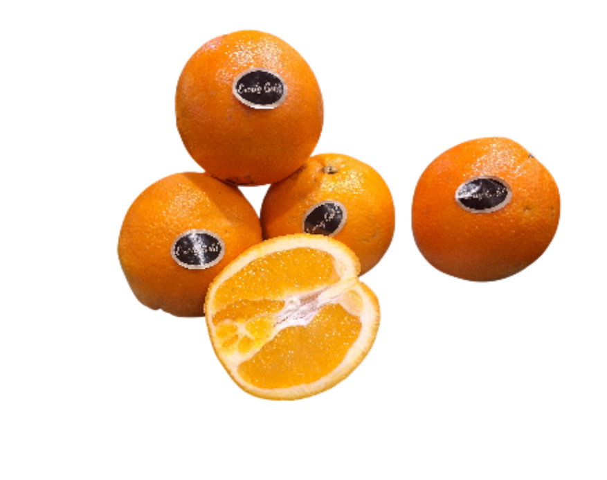 Esgri Gold Navelsinaasappels xtr zoet