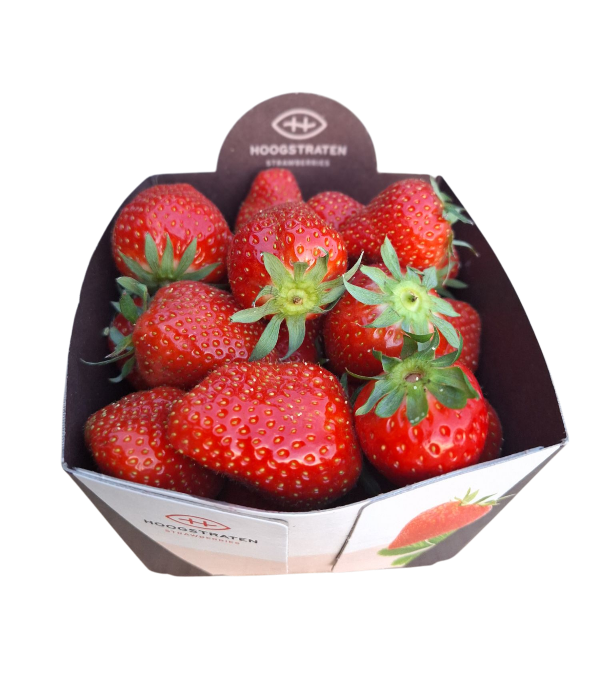 Hoogstraten aardbei 500 g