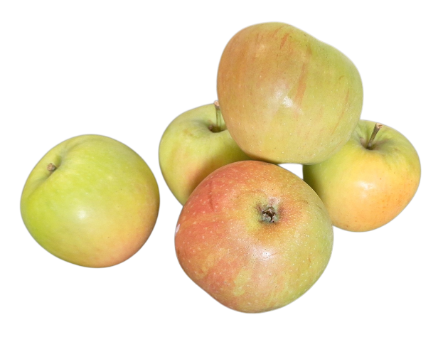 James Grieve zomerappels James Grieve zomerappels