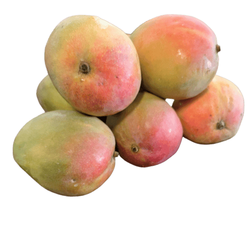 Mango-Kent