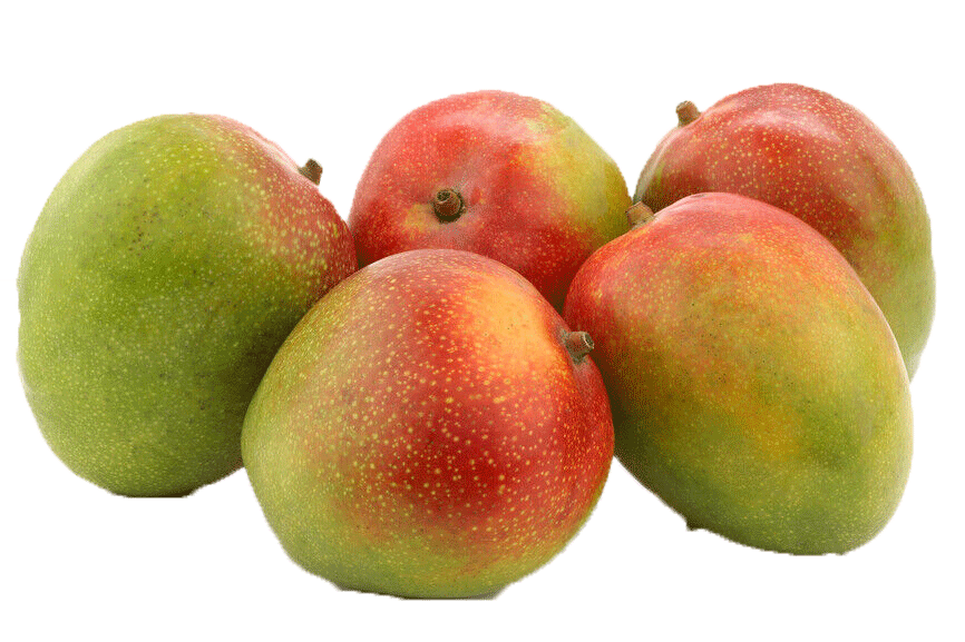 Mango_Kent Mango_Kent
