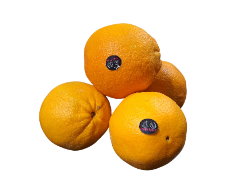 Navel handsinaasappels XXL