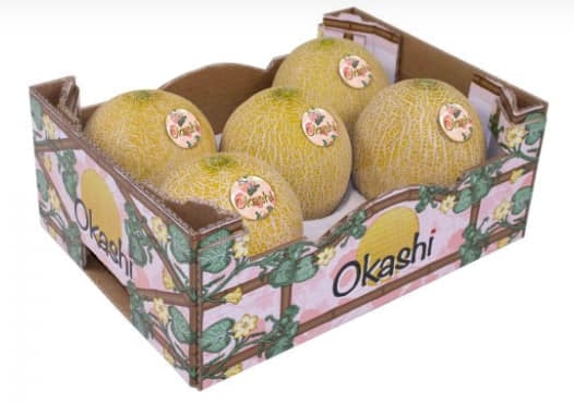 Okashi galia meloen