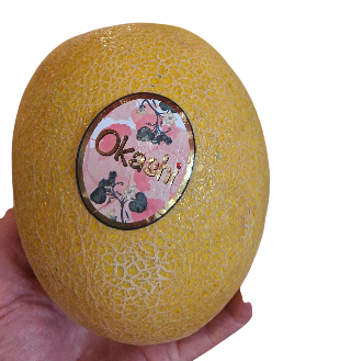 Okasi galia meloen 