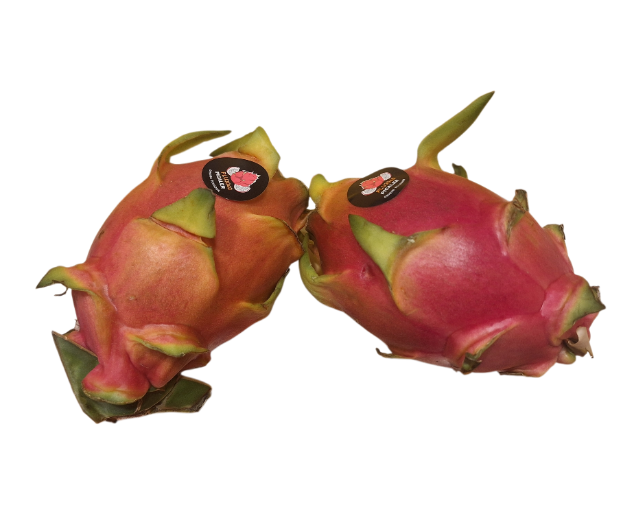 Pithaya cactusvrucht