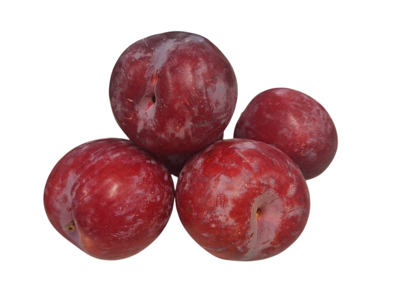 Rode pruimen Laetitia