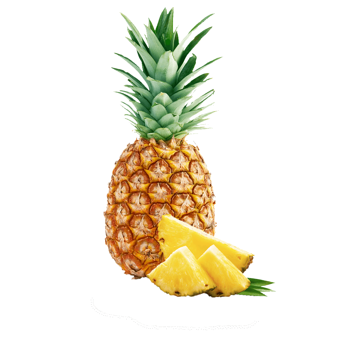 ananas staand