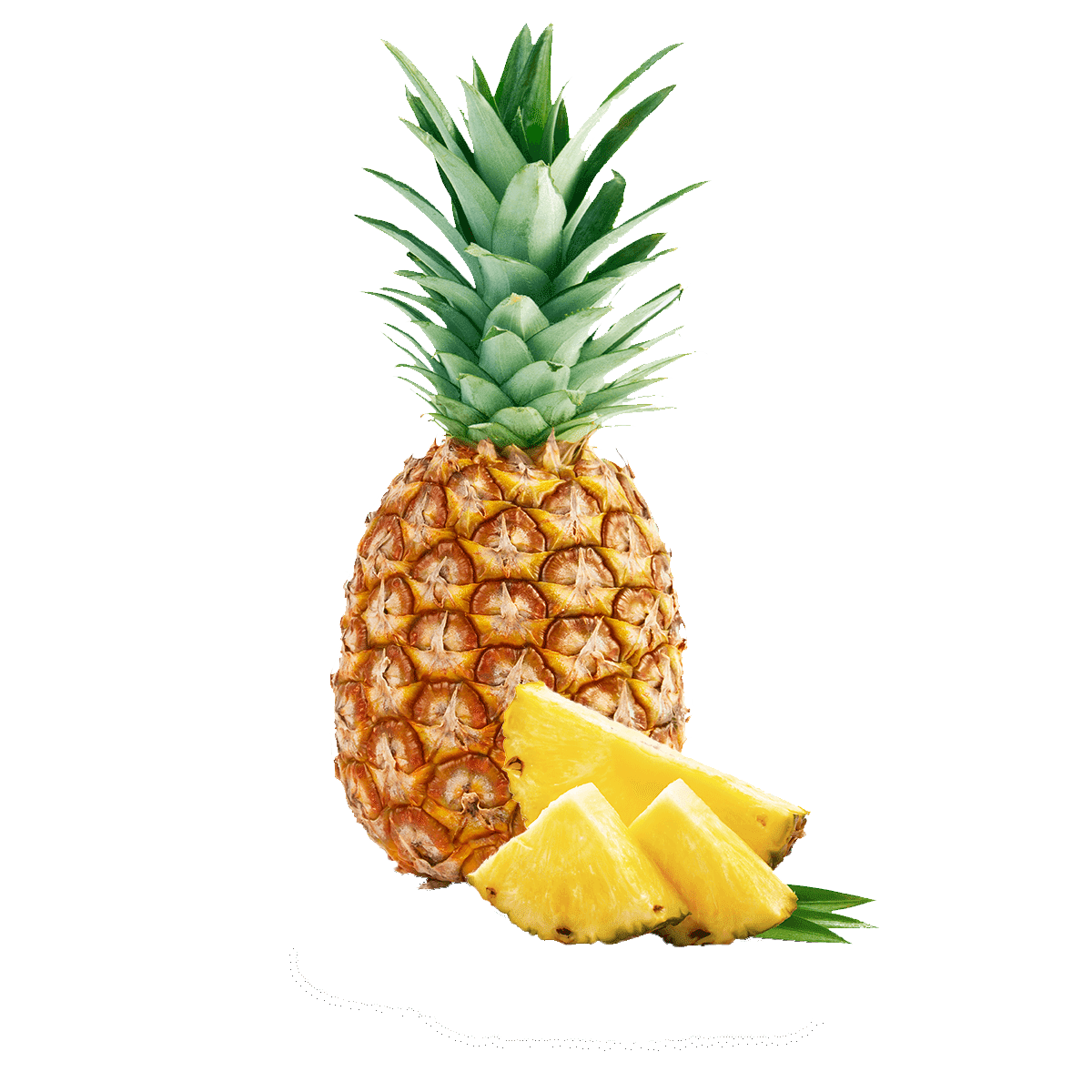 ananas staand ananas staand