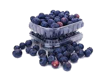 blauwe-bessen-doosjes blauwe-bessen-doosjes