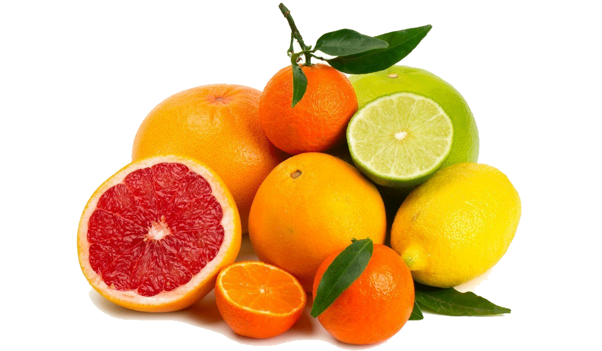 citrus assorti-1 citrus assorti-1