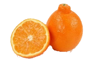 citrus mineola citrus mineola