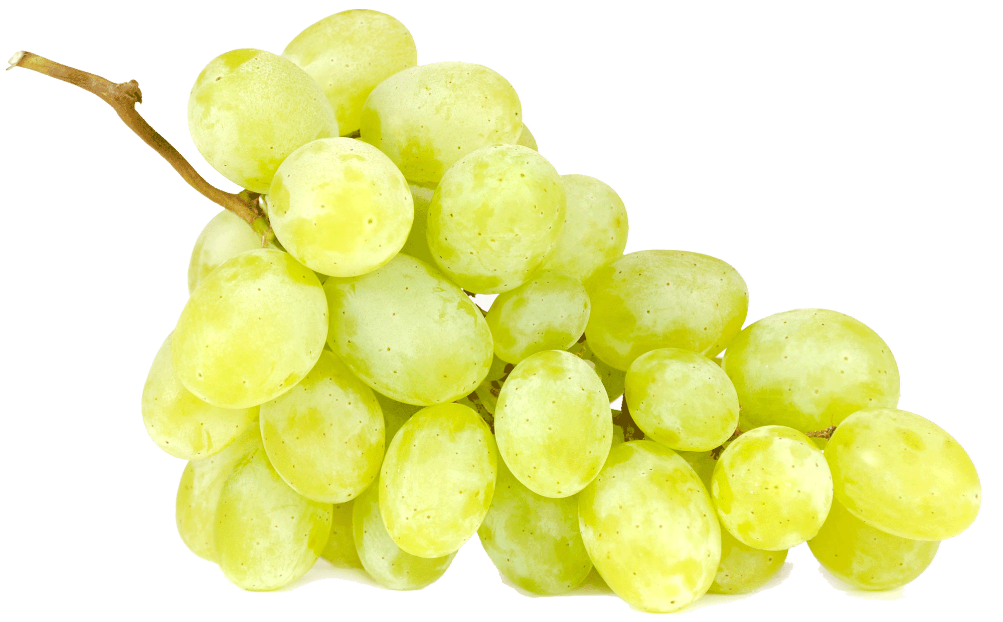 druif wit italiaanse-Muskaat-druif druif wit italiaanse-Muskaat-druif