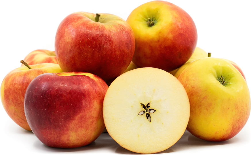 elstar prestige elstar prestige