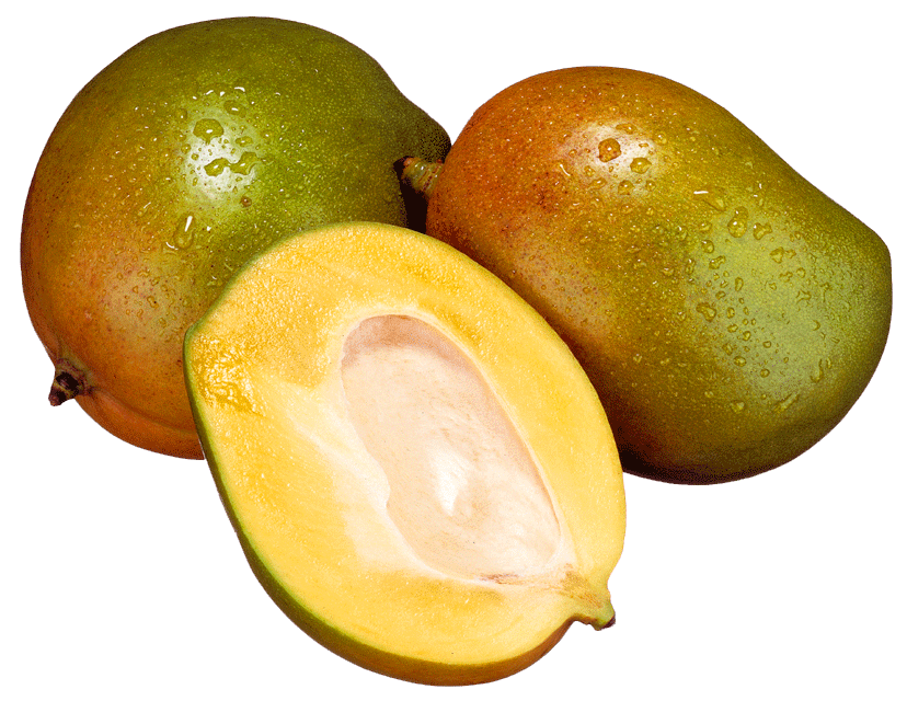 mango heel