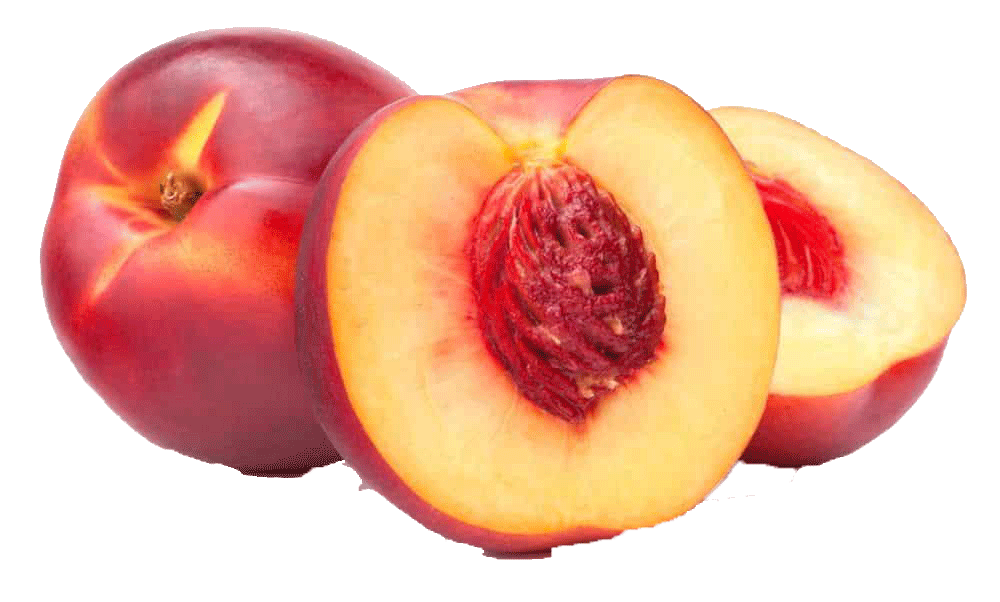 nectarina nectarina