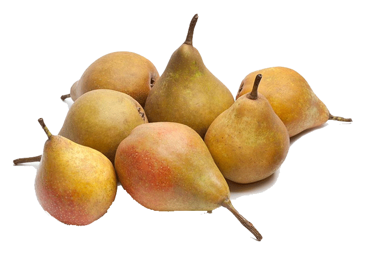 peren Gieserwildeman peren Gieserwildeman