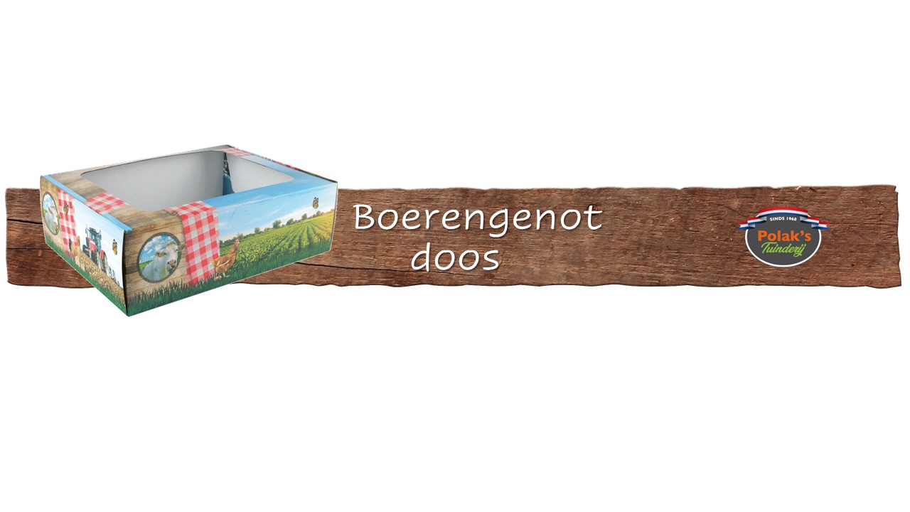 4_Boerengenot doos