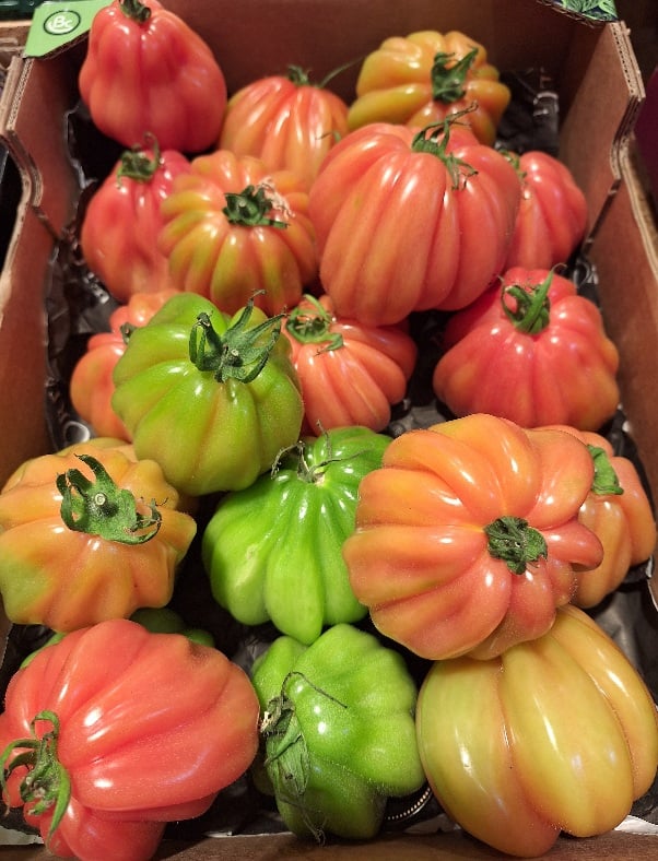 Coeur de boeuf tomaten 