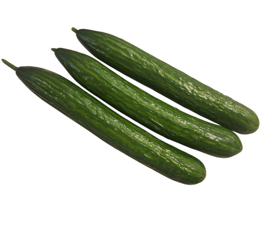 Hollandse komkommers 3 Hollandse komkommers 3