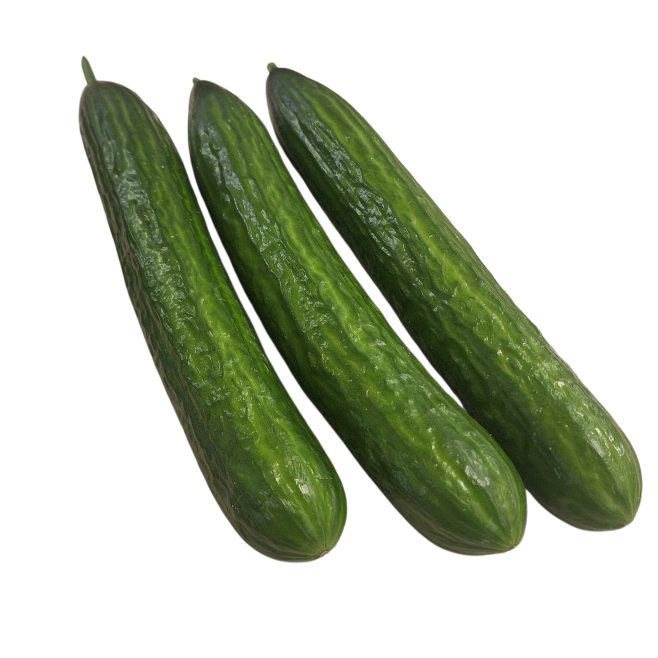 Komkommers Holland 3