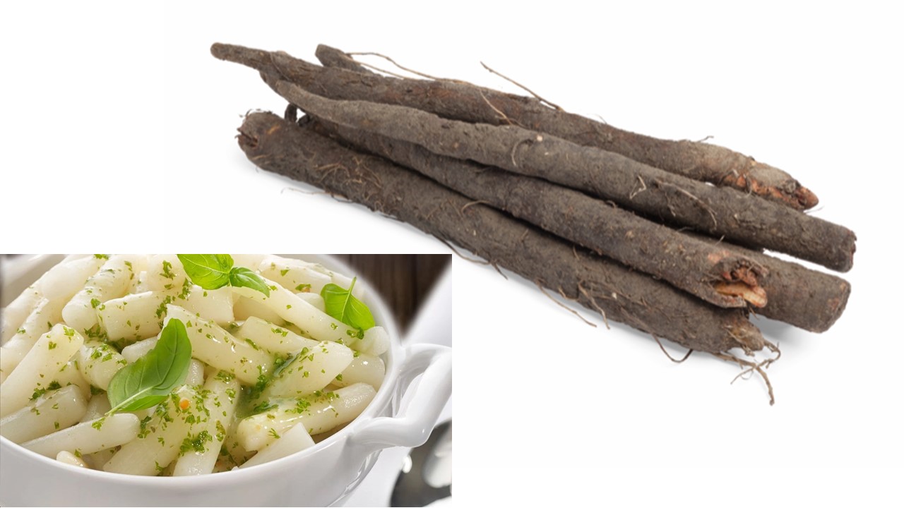 Schorseneren-winterasperge