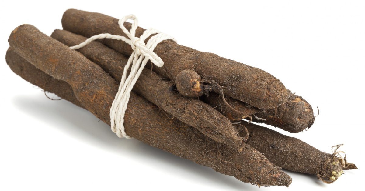 Schorseneren Schorseneren