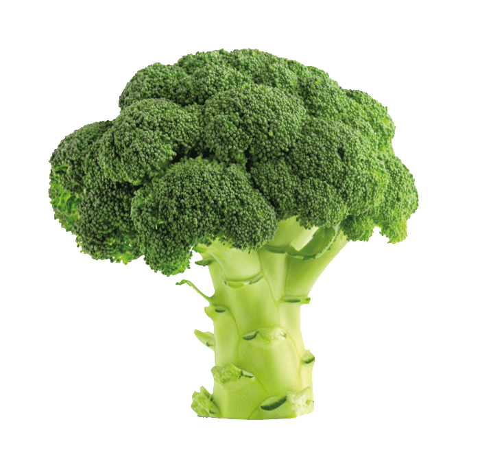 broccoli broccoli