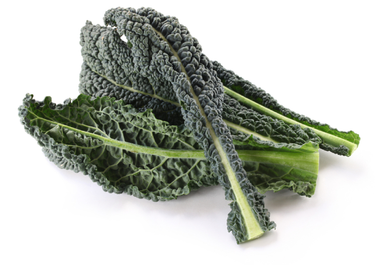 cavolo-nero-palmkool cavolo-nero-palmkool
