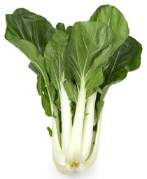 paksoy paksoy