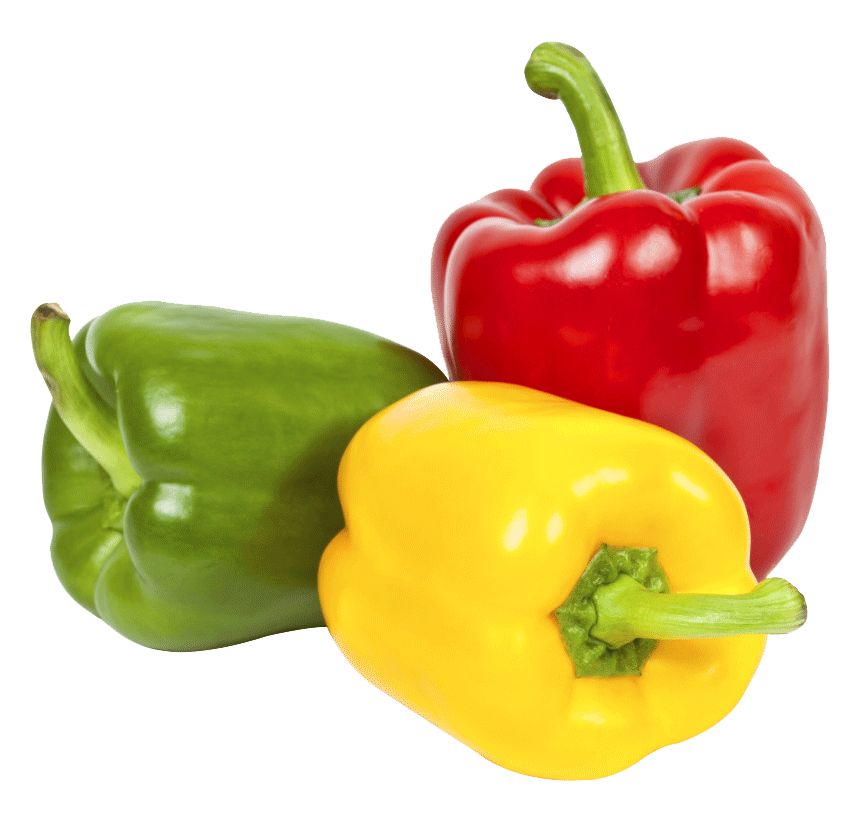 paprika heel-1 paprika heel-1