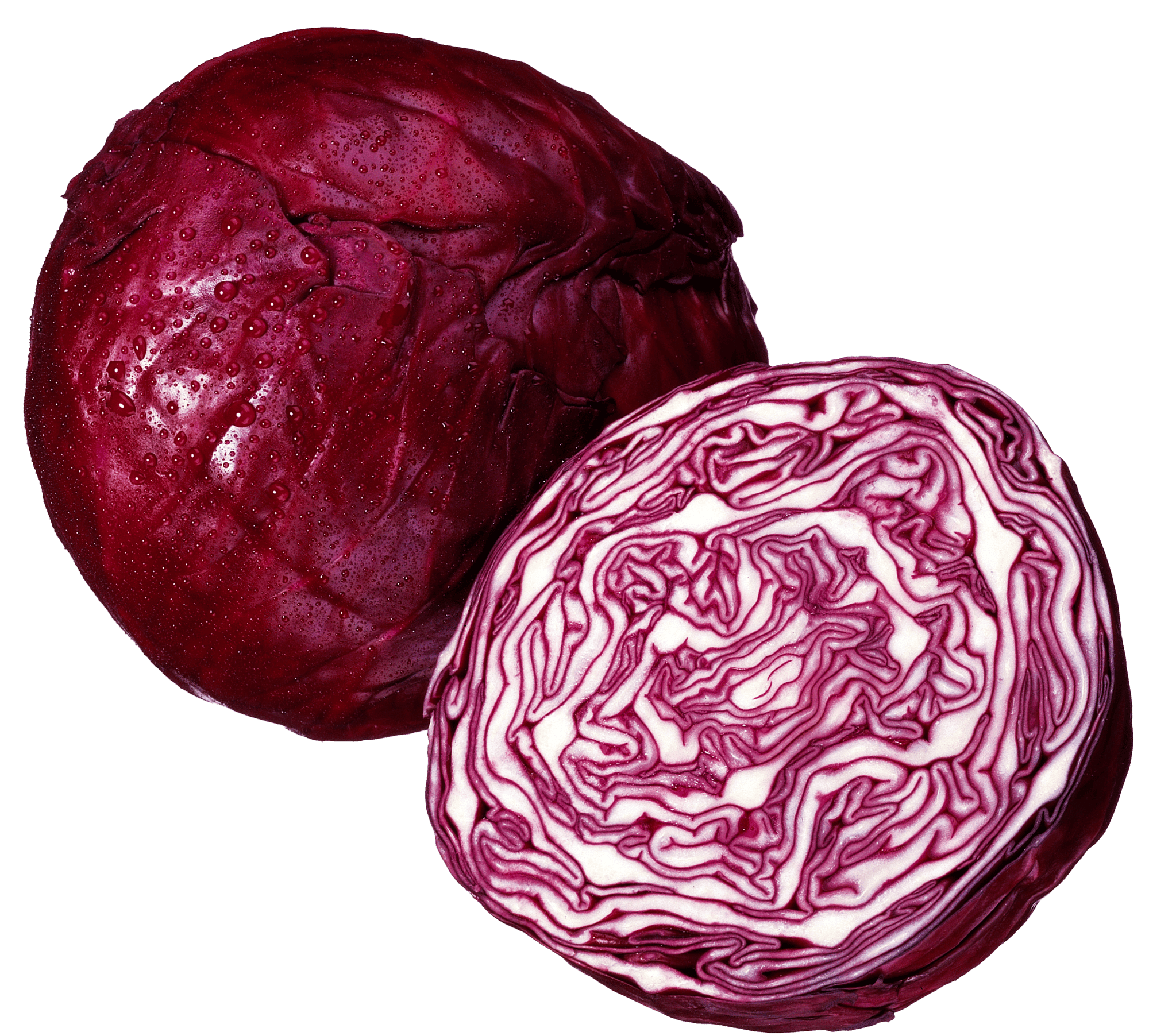 rodekool heel rodekool heel