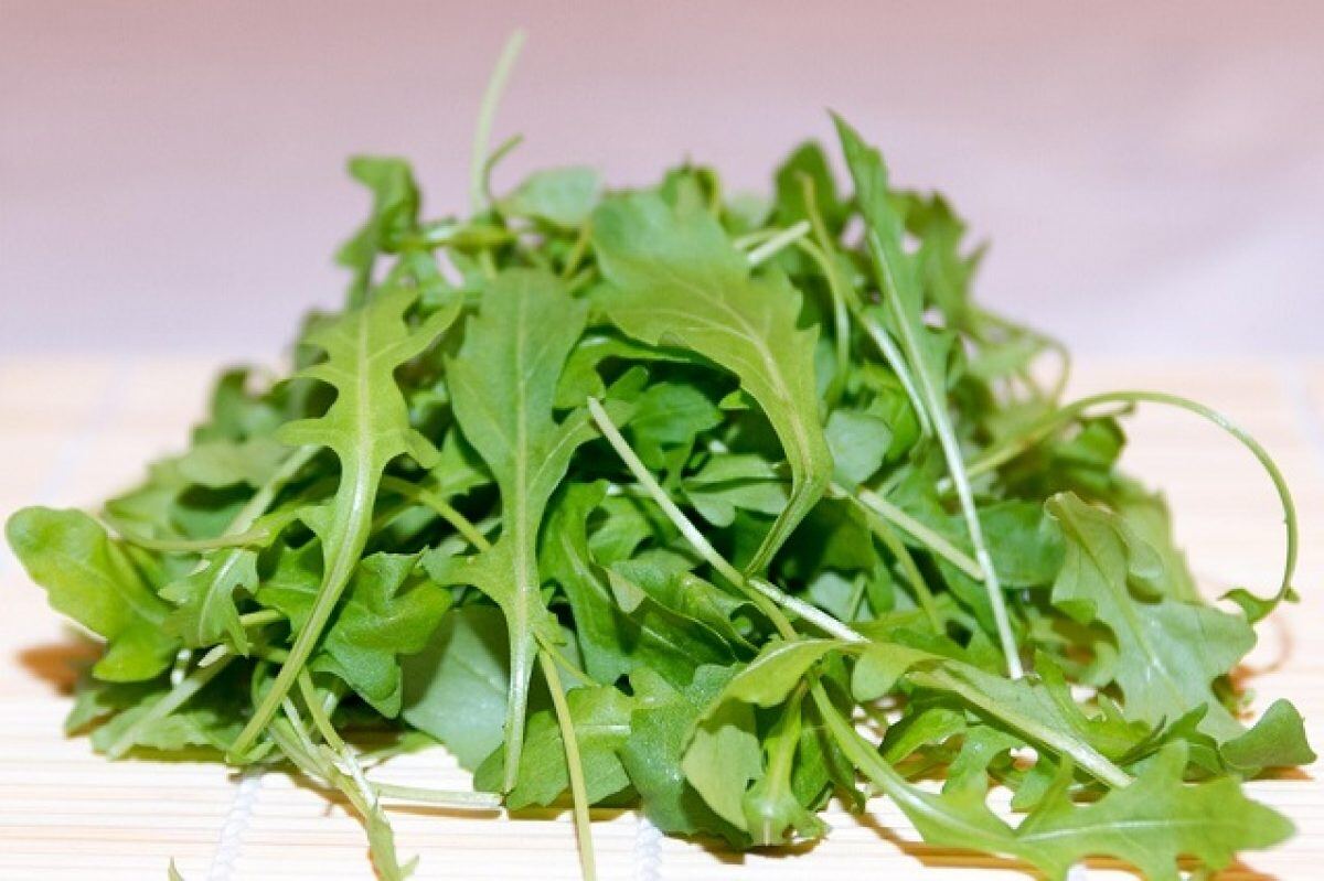rucola rucola