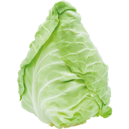 spitskool spitskool