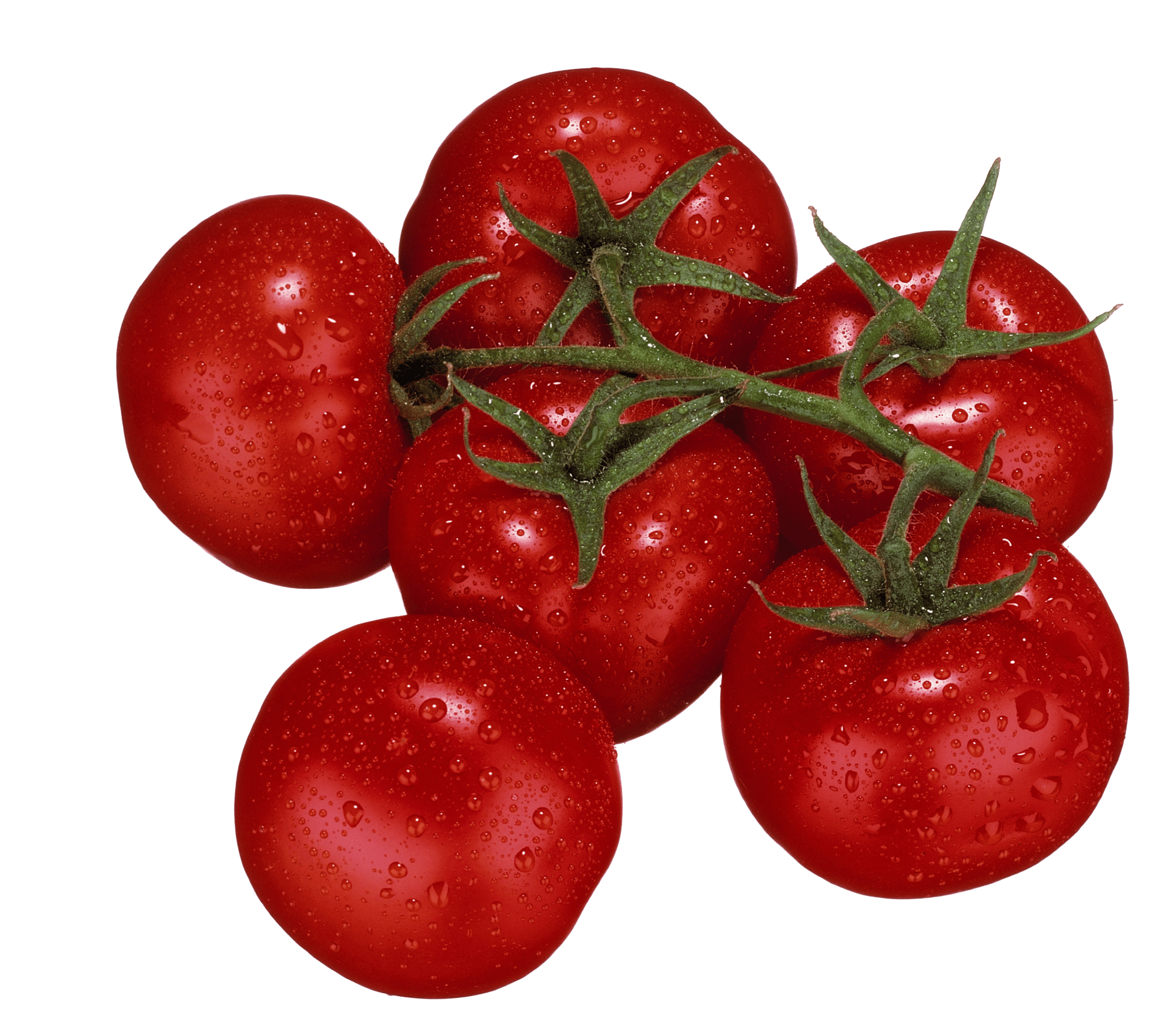 tomaat tros