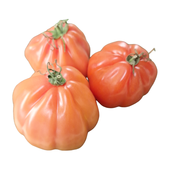tomaten Coeur de boeuf