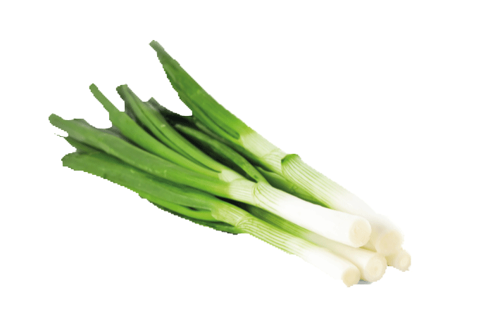 uien - bosui uien - bosui