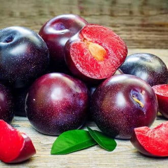Pruimen Ruby Crunch Pruimen Ruby Crunch