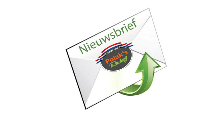 banner-nieuwsbrief